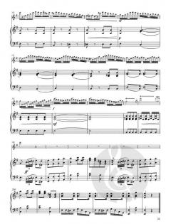 Concerto in mi minore von Saverio Mercadante 