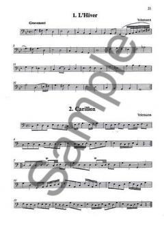 The Bass Recorder Handbook von Denis Bloodworth 