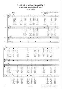 Liebchen, wo bleibst du nur? (Herbert Paulmichl) 