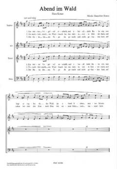 Abend im Wald (Hannelore Kunze) 