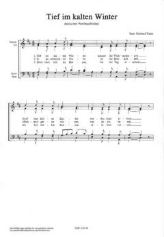 Tief im kalten Winter (Gerhard Faatz) 