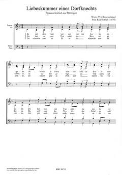 Liebeskummer eines Dorfknechts (Ralf Schöne) 