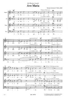 Ave Maria (Michal Zielinski) 