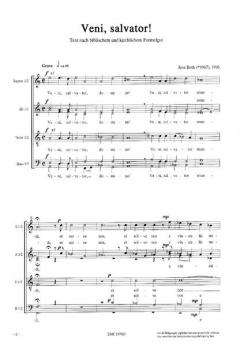 Veni, salvator! (Jens Röth) 