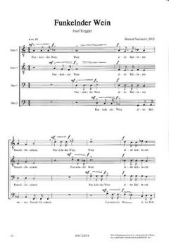 Funkelnder Wein op.180/a (Herbert Paulmichl) 