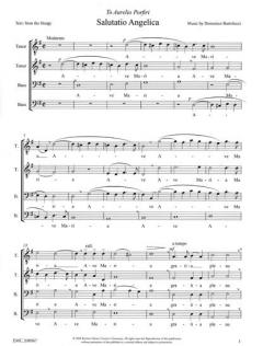 Salutatio Angelica (Domenico Bartolucci) 