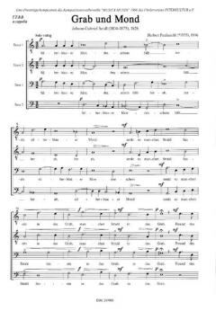 Grab und Mond (Herbert Paulmichl) 