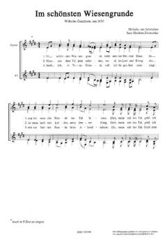 Im schönsten Wiesengrunde (Heidrun Zwerschke) 