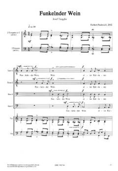 Funkelnder Wein op.180/a (Herbert Paulmichl) 