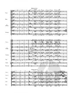 Romeo and Juliet von J. Frederick Muller 