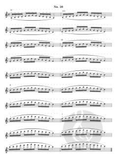 Violin Studies Op. 8 von Otakar Ševčík im Alle Noten Shop kaufen