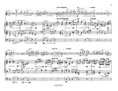 Der geigende Eremit von Max Reger 