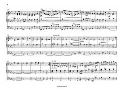 Akademische Festouvertüre op. 80 von Johannes Brahms 