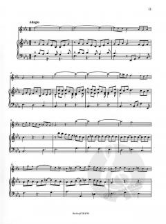 Sonate in g-Moll BWV 1020 von Johann Sebastian Bach 