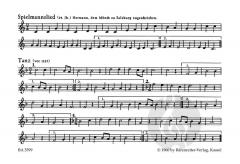 Mittelalterliche Spielmannsmusik 