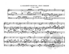 Orgelbüchlein und andere kleine Choralvorspiele von Johann Sebastian Bach (Download) 