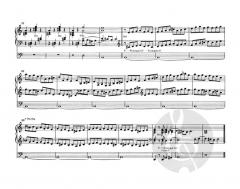 Ausgewählte Orgelwerke Band 1 von Johann Pachelbel im Alle Noten Shop kaufen