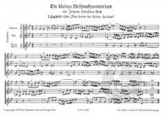 Zerrspiegel 1 (Violeta Dinescu) 