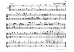 Handleitung 1 für das Spiel auf der Altblockflöte (Helmut Mönkemeyer) 