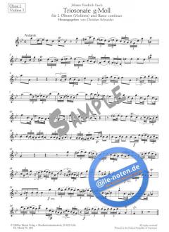 Triosonate g-Moll von Johann Friedrich Fasch 