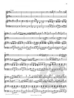 Konzert e-Moll (Georg Philipp Telemann) 