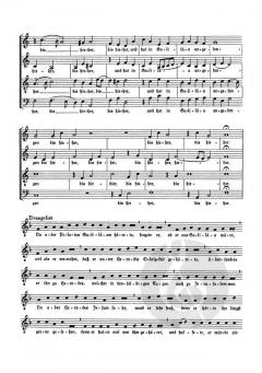 Lukas-Passion SWV 480 von Heinrich Schütz (Download) 