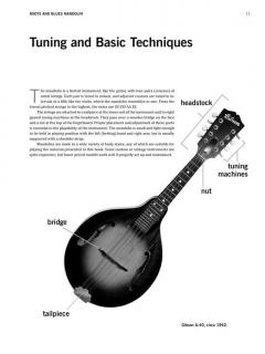 Roots And Blues Mandolin von Steve James im Alle Noten Shop kaufen