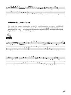 Warm-Ups And Exercises For The Blues/Rock Guitarist von Buzz Feiten 