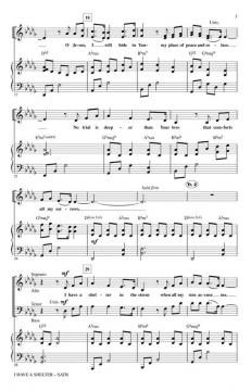 I Have A Shelter (Steve Cook) 