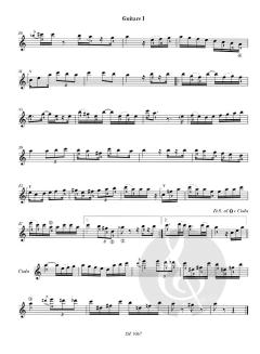 Choro von Domingo Semenzato 