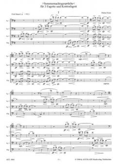 Sommernachtsgespräche (Hubert Kross) 