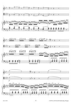 Duo über La Sonnambula von Bellini 