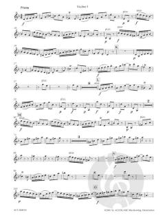 Konzert in d-Moll BWV 1056 (J.S. Bach) 