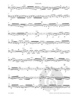 Konzert in d-Moll BWV 1056 (J.S. Bach) 