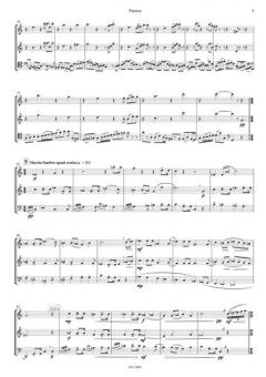 Pofadder Variations 2 von Allan Stephenson für Holzbläser Trio im Alle Noten Shop kaufen