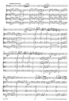 Quintett B-Dur Op. 52/1 (Johann Brandl) 