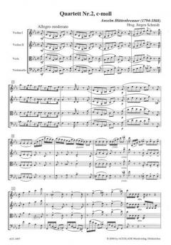 Quintett C-Moll von Anselm Hüttenbrenner 