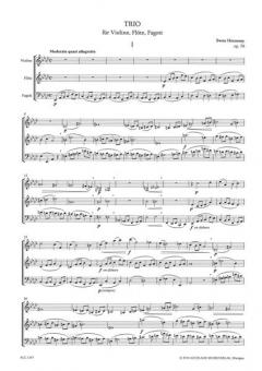 Trio Op. 70 (Swan Hennessy) 