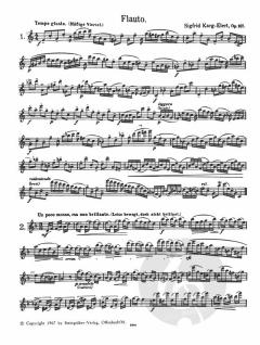 30 Capricen op. 107 von Sigfrid Karg-Elert für Flöte solo im Alle Noten Shop kaufen