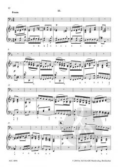 Konzert in d-Moll BWV 1056 (J.S. Bach) 