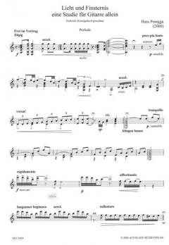 Licht und Finsternis von Hans Posegga 