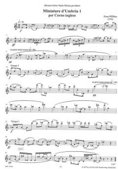 Miniature d'Umbria 1 von Ernst Pfiffner 