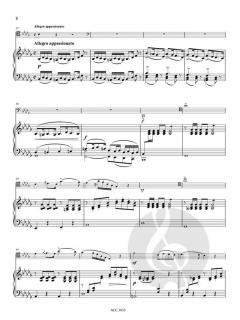 Morceau De Salon Op. 230 (Johannes Wenzeslaus Kalliwoda) 