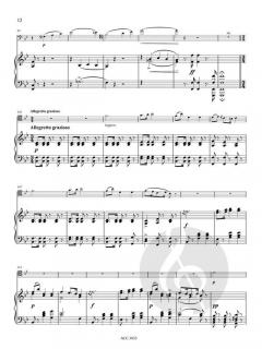 Morceau De Salon Op. 230 (Johannes Wenzeslaus Kalliwoda) 