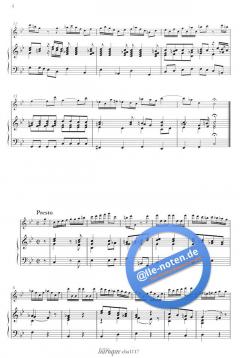 Solo Flute A Bec Del Signore Detri C-Moll 