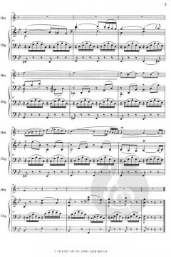 Laudate Dominum KV 339 (Ausgabe in B-Dur) von Wolfgang Amadeus Mozart für Horn und Orgel