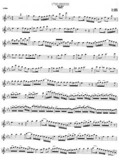 L'Arlesienne Suite Nr.2 (Georges Bizet) 