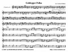 Goldegger-Polka (Tanzlmusi) 