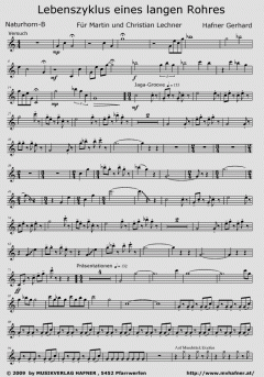 Lebenszyklus eines langen Rohres (Gerhard Hafner) 