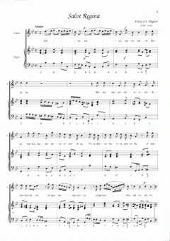 Salve Regina (Franz Sales Ignaz Hagerer) 